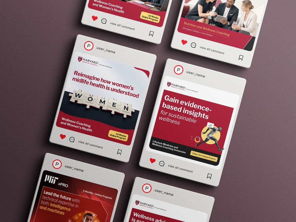 Harvard Medical School campaign posts